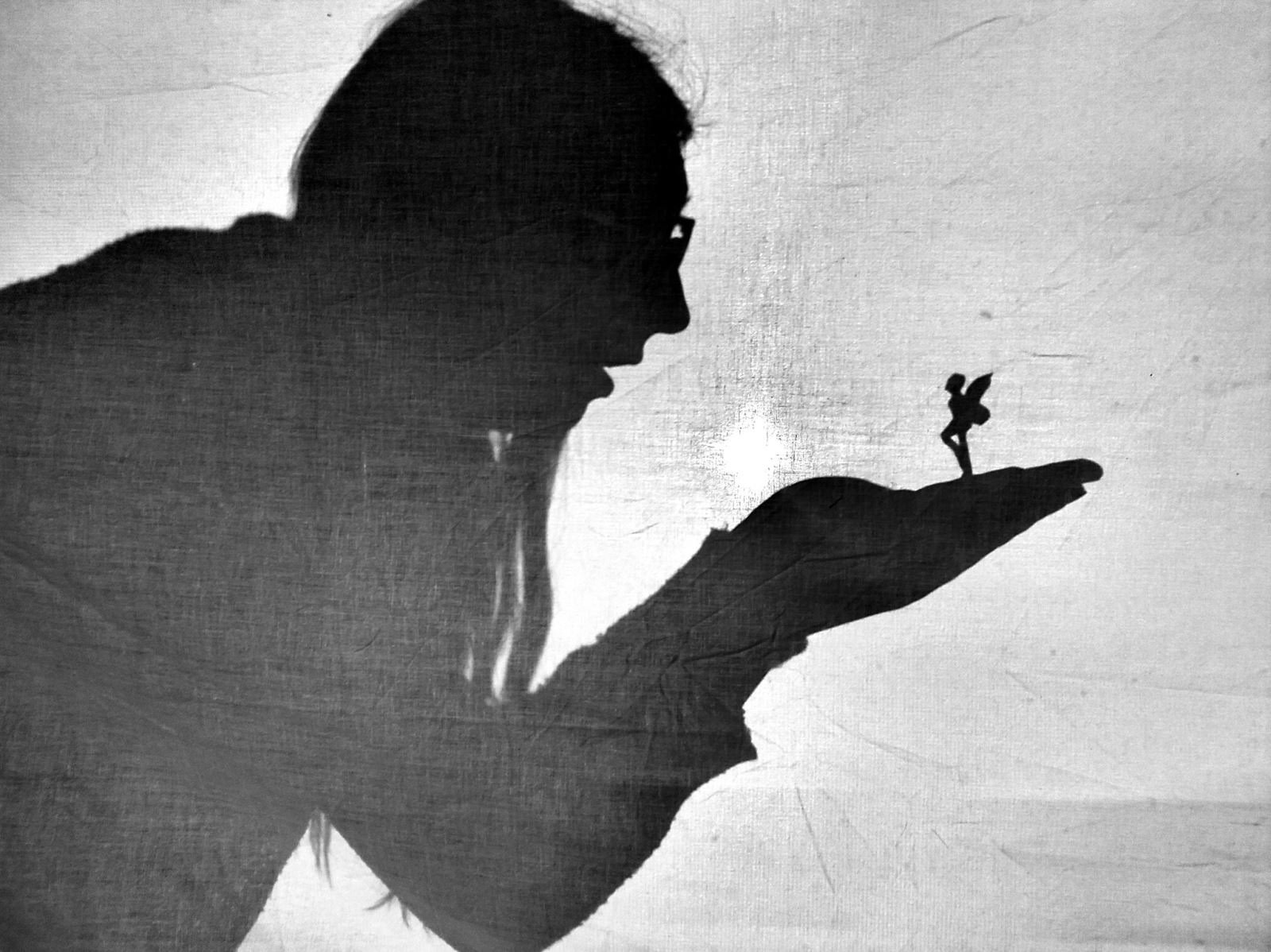 Shadow of a woman holding a fairy